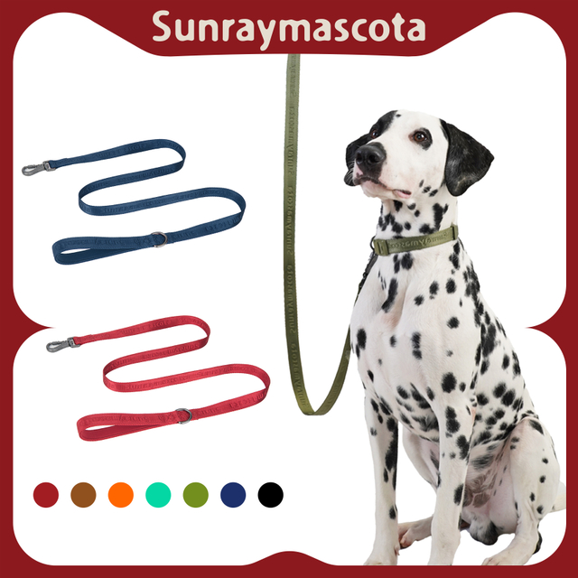 Sunraymascota New 2025 Manufacturer Custom LOGO Pet Dog Harness Set Pet Collar Leash Dog Collar and Leash Set Dog Leash