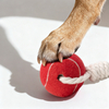 Sunraymascota 2025 New Arrival Clean Teeth Interactive Pet Tennis Ball Rbubber Chew Toy Dog Tug Toy Rope Dog Toy