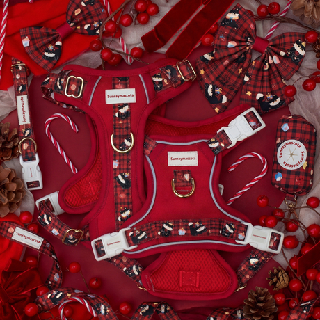 OEM Wholesale Low MOQ No-pull Reflective Adjustable Custom Logo Neoprene Dog Training Harness Collar Leash Set