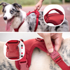 Sunraymascota New Arrival Neoprene Luxury Dog Harness And Leash Set No Pull Dog Harness Manufacturer Custom Dog Harness