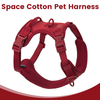 Sunraymascota New Arrival Neoprene Luxury Dog Harness And Leash Set No Pull Dog Harness Manufacturer Custom Dog Harness
