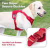 Sunraymascota New Dog Harness 2024 Manufacturers UK Designer Dog Harness and Leash Set Wholesale Personalised Harness for Dog