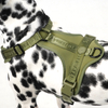 Sunraymascota New Dog Harness 2024 Manufacturers UK Designer Dog Harness and Leash Set Wholesale Personalised Harness for Dog