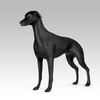 Sunray Mascota Matte Black Fiberglass Greyhound Dog Mannequin 