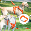 Sunraymascota Personalized Luxury Design Custom Comfortable Premium Adjustable Pet Harness Manufacturer Dog Harness Set