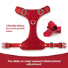 Sunraymascota New Dog Harness 2024 Manufacturers UK Designer Dog Harness and Leash Set Wholesale Personalised Harness for Dog