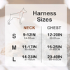 Sunraymascota Personalized OEM ODM Pet Harness Wholesale Custom Design Waterproof Pvc Dog Harness