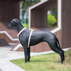 Sunray Mascota Matte Black Fiberglass Greyhound Dog Mannequin 