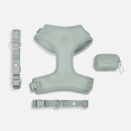 Adjustable Anti-Pull Harness Premium Luxury Dog Harness Set for Small & Big Dogs with Matching Leash | Custom OEM/ODM Wholesale