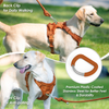 Sunraymascota Pet Supplies Dog Accessories Manufacturer Personalized Pet Harnesses Set Adjustable Custom Designer Dog Harness