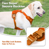 Sunraymascota Dog Harness Manufacturers Designer Custom Adjustable Dog Harness Set Pet Harness for Dog