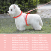 Sunraymascota New 2025 Pet Harness Manufacturers Wholesale Custom Design Small Dog Harness Set Winter Dog Harness