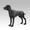 Sunray Mascota Matte Black Fiberglass Weimaraner Dog Mannequin 