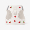 Sunraymascota Summer Fruit Watermelon Embroidery Cute Small Dog Puppy No Pull Adjustable Breathable Dog Harness and Leash Set