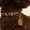 Sunraymascota Premium Vegan PU Leather Dog Harness Collar And Leash Set Luxury Professional High Quality Leather Dog Harness