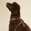 Sunraymascota Premium Vegan PU Leather Dog Harness Collar And Leash Set Luxury Professional High Quality Leather Dog Harness